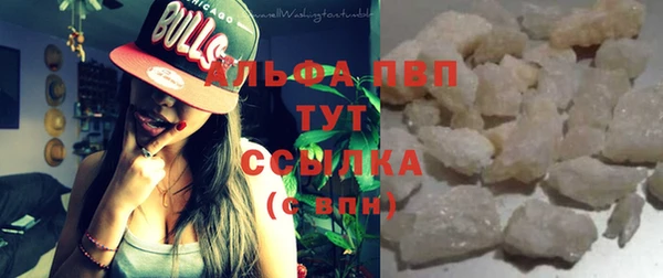 хмурый Алзамай