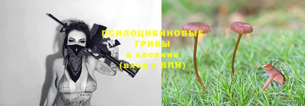 хмурый Алзамай