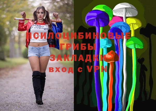 хмурый Алзамай