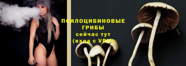 дурь Армянск