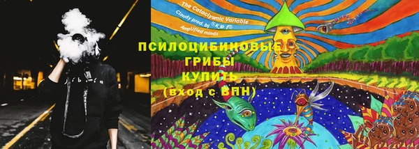 a pvp Аркадак