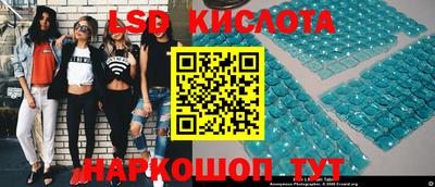 СК Кимры