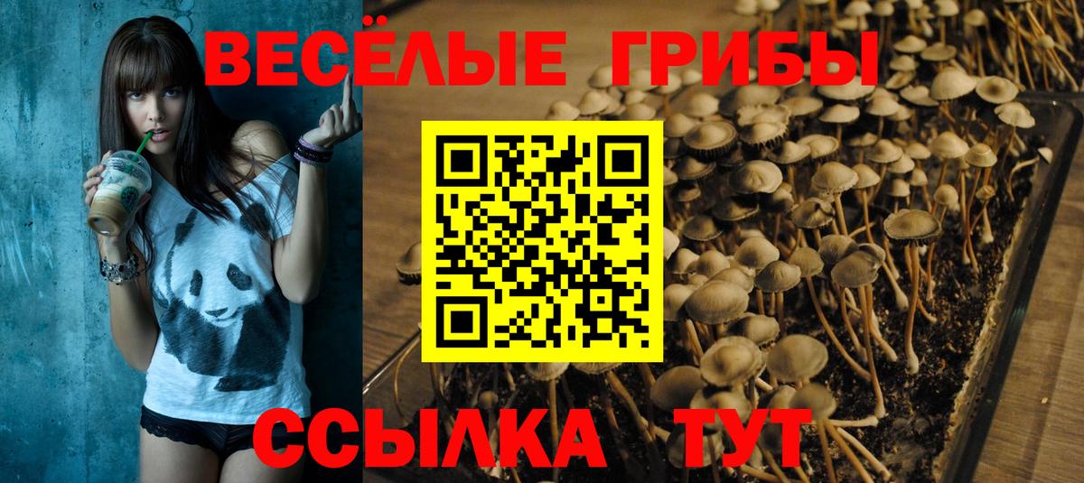 Псилоцибиновые грибы Magic Shrooms  Вход с VPN  Кыштым 